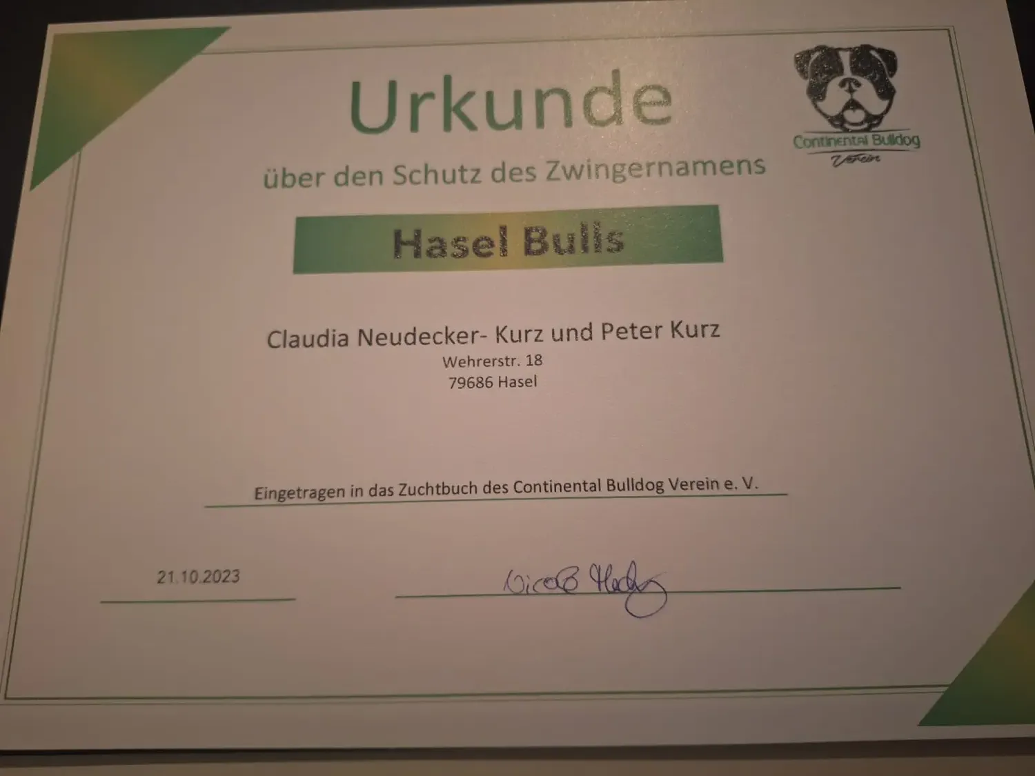 HaselBulls (Continental Bulldog) Zuchtzulassung